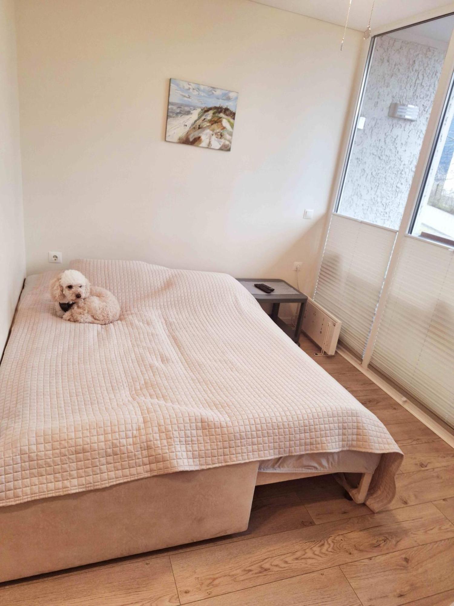 Appartement Santauta à Juodkrantė Extérieur photo